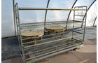 Property photo 41 - PERSONAL PROPERTY AUCTION OF DEWALD GARDENS IN ALLEN COUNTY, INDIANA